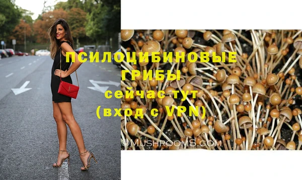 крисы Гусь-Хрустальный
