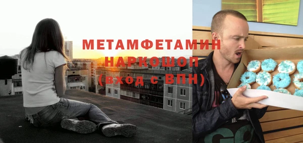 шишки Гусев