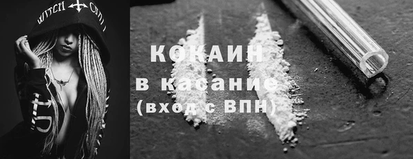 шишки Гусев