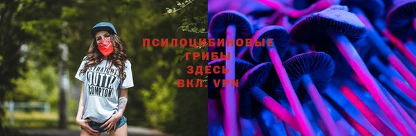 крисы Гусь-Хрустальный