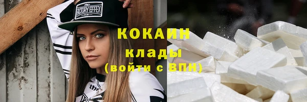 шишки Гусев