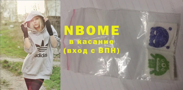 шишки Гусев