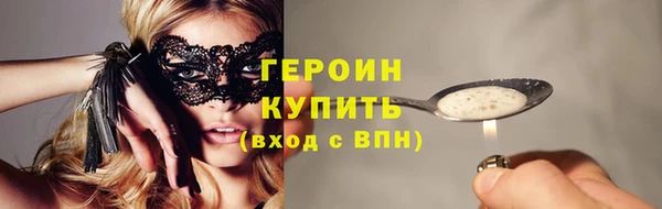 шишки Гусев