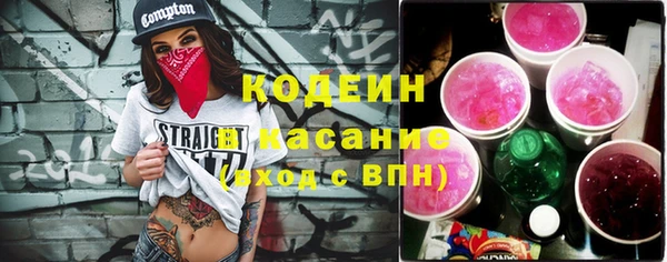 шишки Гусев