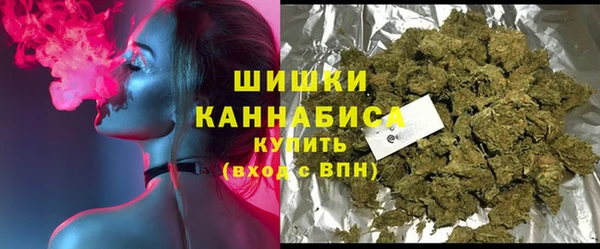 шишки Гусев