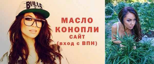 шишки Гусев