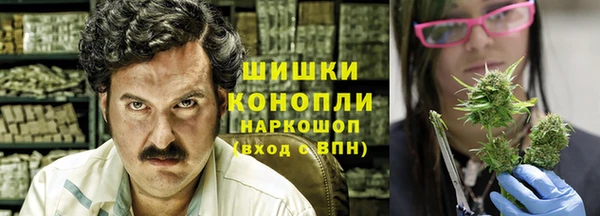 шишки Гусев