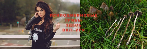 не бодяженный Протвино